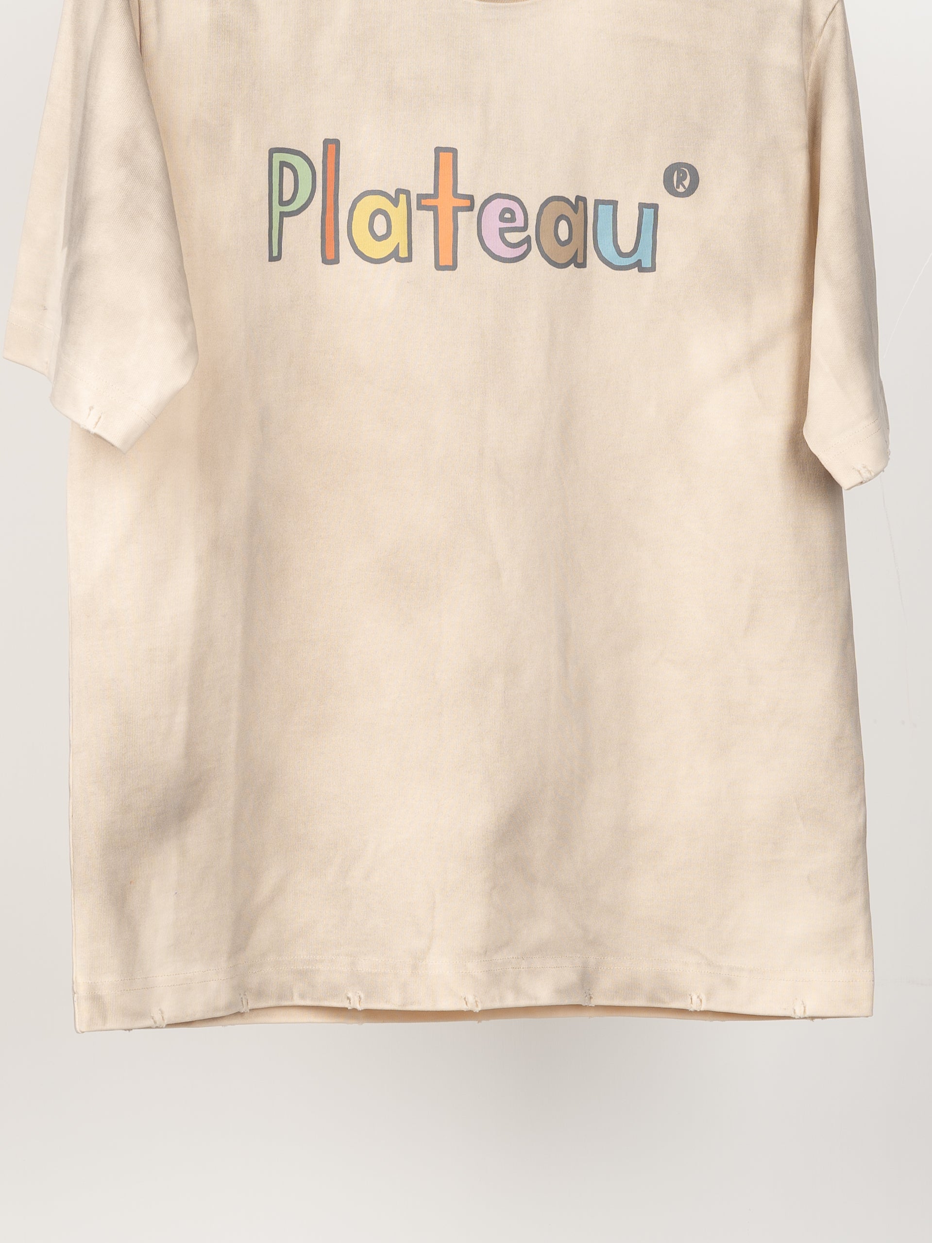 Plateau Studio Printed Vintage Tee (Washed Beige)